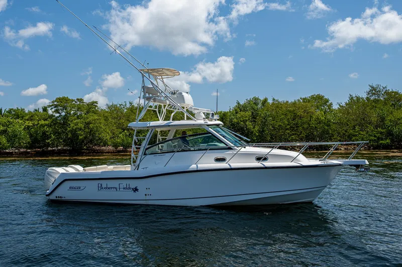  Yacht Photos Pics 2015 Boston Whaler 345 Conquest boat on water, clear sky, lush greenery in background.