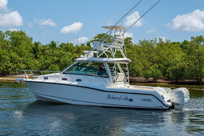  Yacht Photos Pics 2015 Boston Whaler 345 Conquest boat on water, surrounded by lush greenery.