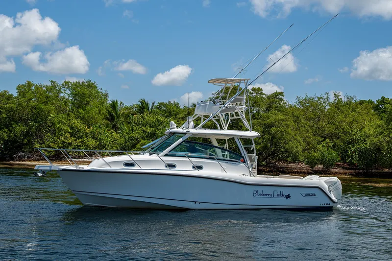  Yacht Photos Pics 2015 Boston Whaler 345 Conquest boat cruising on a sunny day near lush greenery.