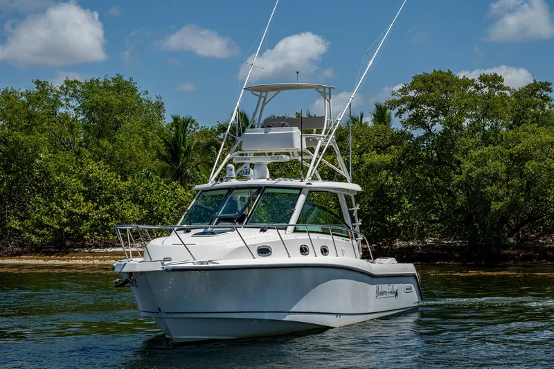  Yacht Photos Pics 2015 Boston Whaler 345 Conquest boat cruising near lush green shoreline.