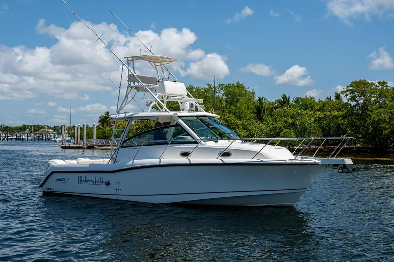  Yacht Photos Pics 2015 Boston Whaler 345 Conquest boat on water, clear sky, lush greenery in background.