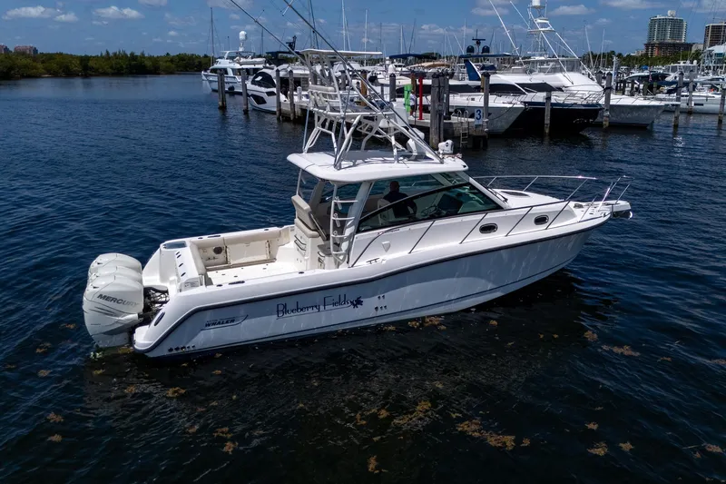  Yacht Photos Pics 2015 Boston Whaler 345 Conquest boat docked in a marina, surrounded by other vessels.