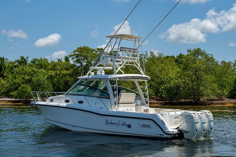  Yacht Photos Pics 2015 Boston Whaler 345 Conquest boat on water, surrounded by lush greenery.