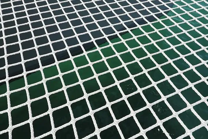 Masterdream Yacht Photos Pics Catamaran netting over water on Lagoon 620 Esense, 2018 model.