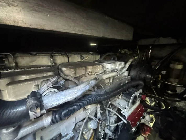 Forget About It Yacht Photos Pics 