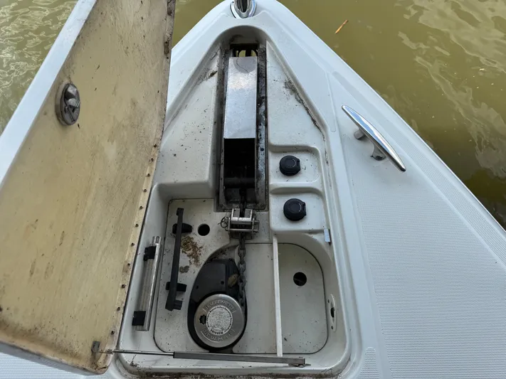 Yo Baby Yacht Photos Pics 