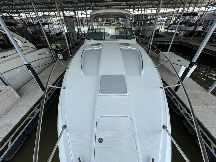 Yo Baby Yacht Photos Pics 