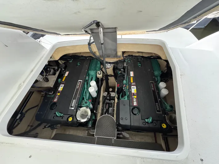 Yo Baby Yacht Photos Pics 