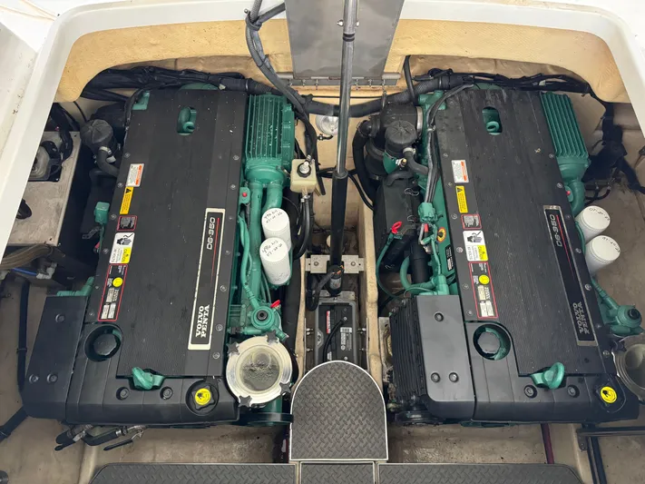 Yo Baby Yacht Photos Pics 