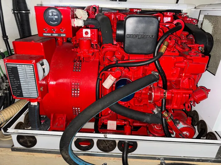 Yo Baby Yacht Photos Pics 