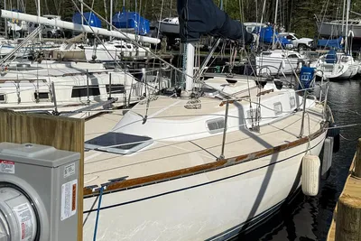 Tartan 31