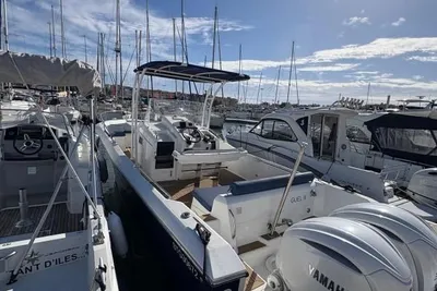 2020 White Shark 300