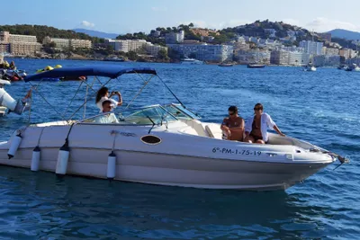 2001 Sea Ray 240 Sundeck