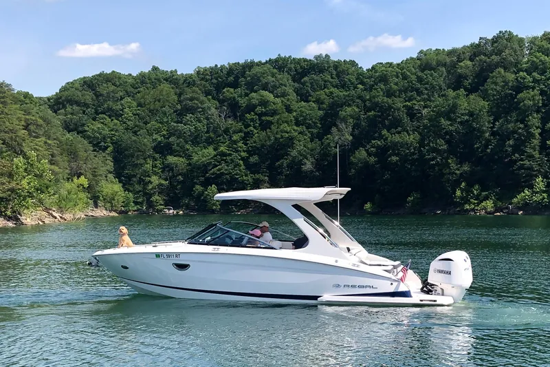  Yacht Photos Pics 