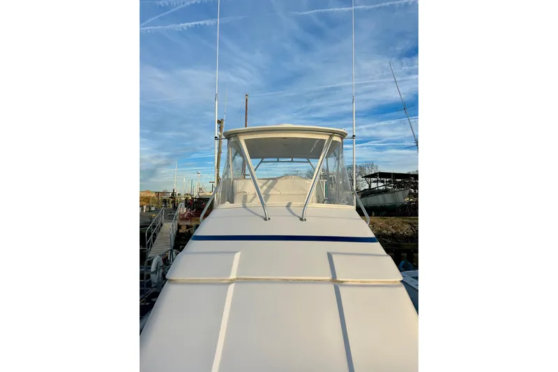  Yacht Photos Pics 2005 Bertram 390 Convertible yacht docked under a clear blue sky.