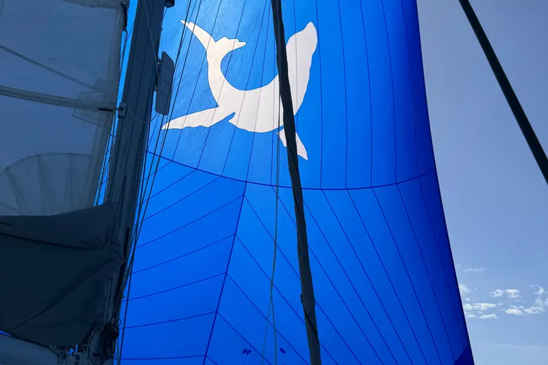 Grand Crew Yacht Photos Pics Blue sail with white bird silhouette on 2019 Saona 47 yacht.