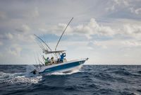 2023 Boston Whaler 230 Outrage