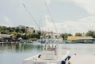 SeaVee 3201