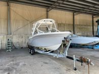 2023 Sea Fox 226 Traveler
