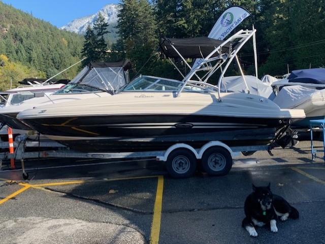 Sea Ray 200 boats for sale