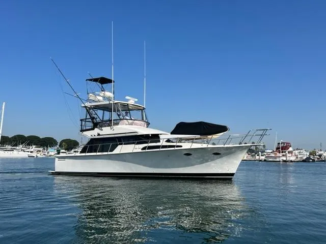 Rock And Reel Yacht Photos Pics 