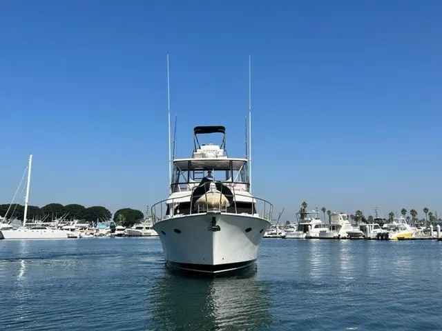 Rock And Reel Yacht Photos Pics 