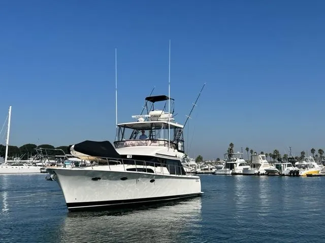 Rock And Reel Yacht Photos Pics 