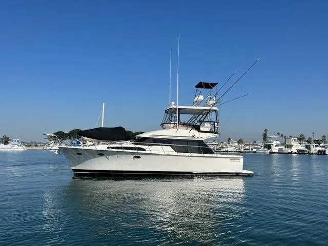 Rock And Reel Yacht Photos Pics 