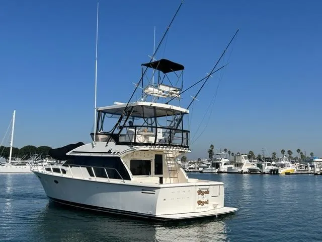 Rock And Reel Yacht Photos Pics 