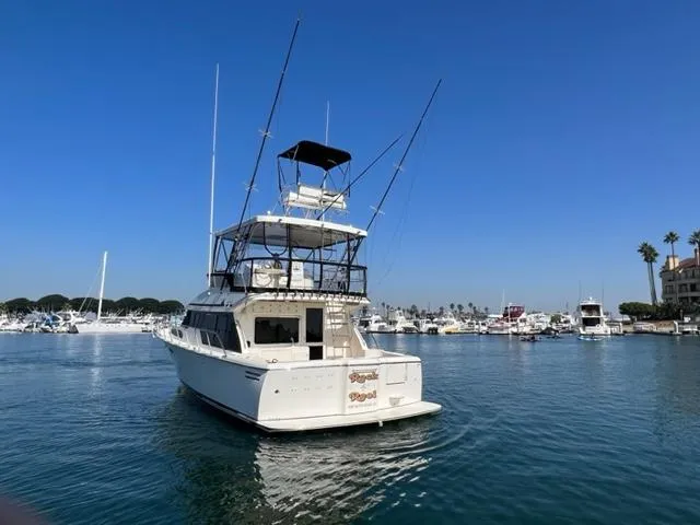 Rock And Reel Yacht Photos Pics 