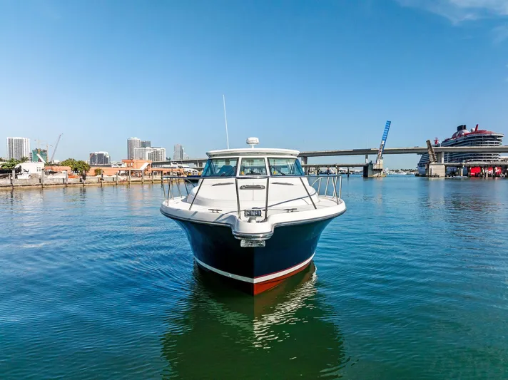 Blue Pearl Yacht Photos Pics 2004 Tiara Yachts 4200 Open in marina, cityscape and bridge in background.
