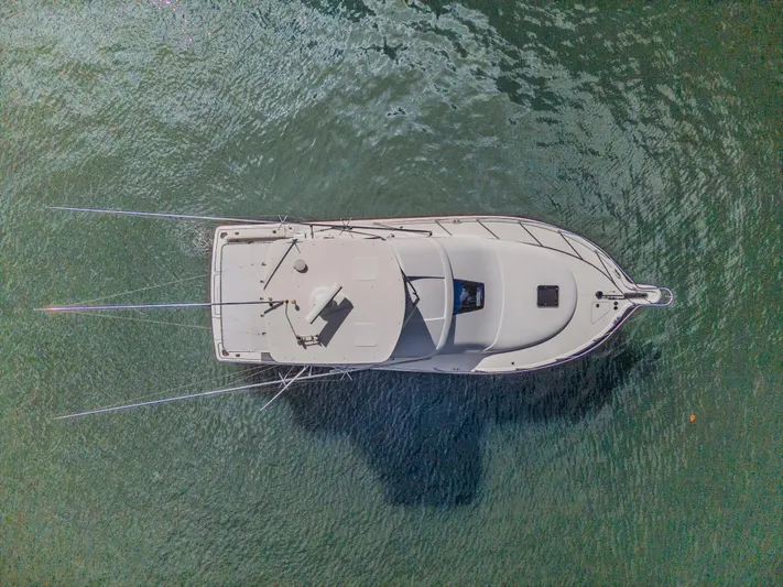 Emma Yacht Photos Pics 