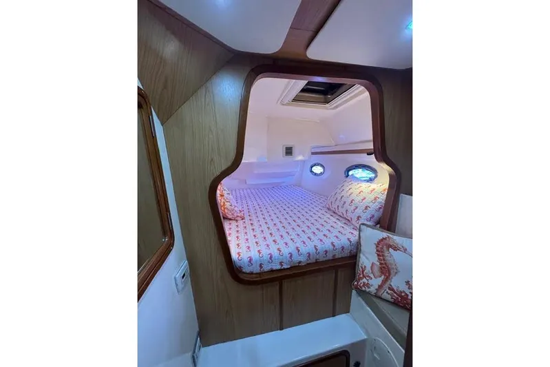 Sea Angel Yacht Photos Pics Cozy cabin interior of 2007 Africat Marine 420 with seahorse-themed bedding.