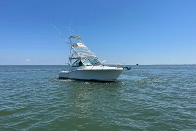 Albemarle 32 Express