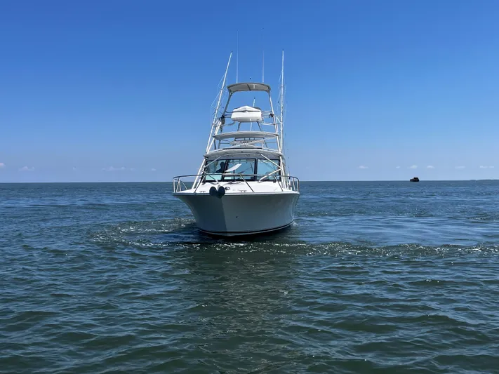 Gemini Yacht Photos Pics 