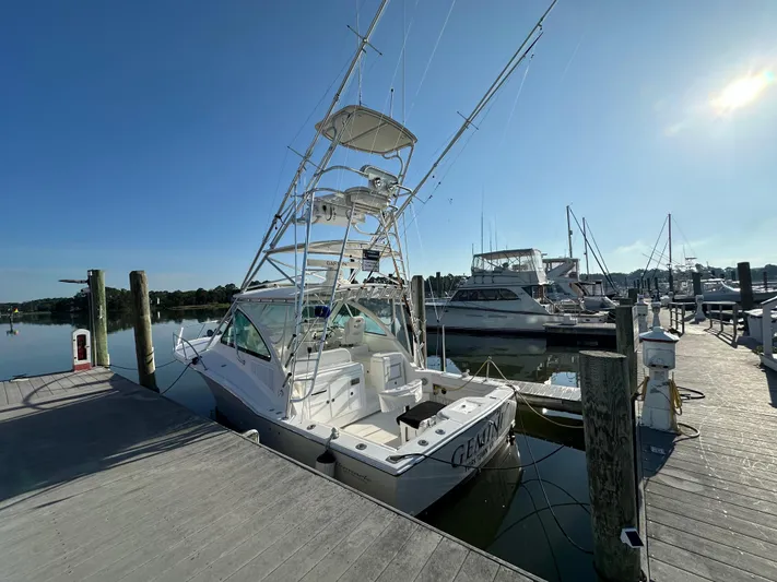 Gemini Yacht Photos Pics 