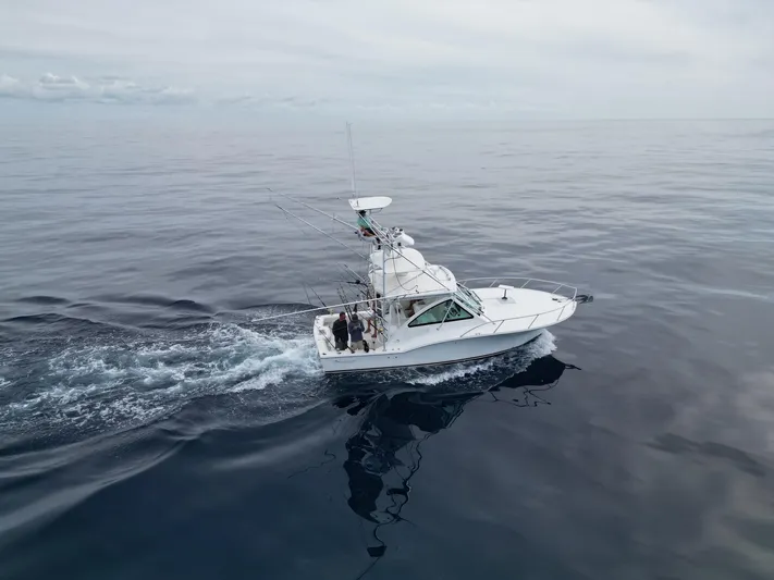 Gemini Yacht Photos Pics 