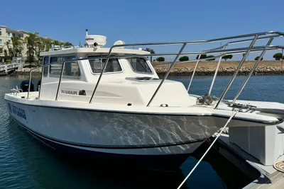 Defiance Guadalupe 290 EX