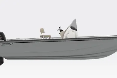 Boston Whaler 210 Montauk