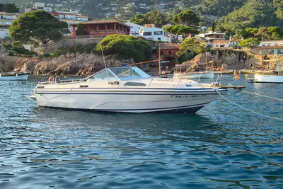1984 Glastron/Carlson Rv 800 coral