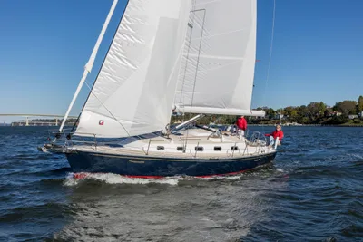 Tartan 365