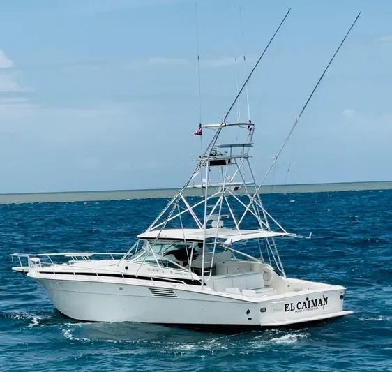 El Caiman Yacht Photos Pics 1994 Bertram 46 Moppie yacht "El Caiman" cruising on open sea.