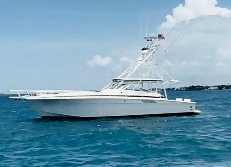 El Caiman Yacht Photos Pics 1994 Bertram 46 Moppie yacht on open sea under clear sky.