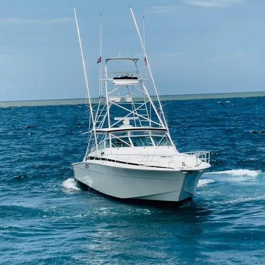 El Caiman Yacht Photos Pics 1994 Bertram 46 Moppie yacht cruising on open ocean waters.