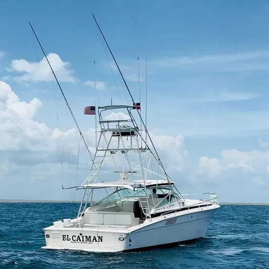 El Caiman Yacht Photos Pics 1994 Bertram 46 Moppie boat on open sea under clear blue sky.
