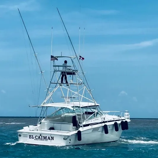 El Caiman Yacht Photos Pics 1994 Bertram 46 Moppie yacht "El Caiman" cruising on blue ocean waters.
