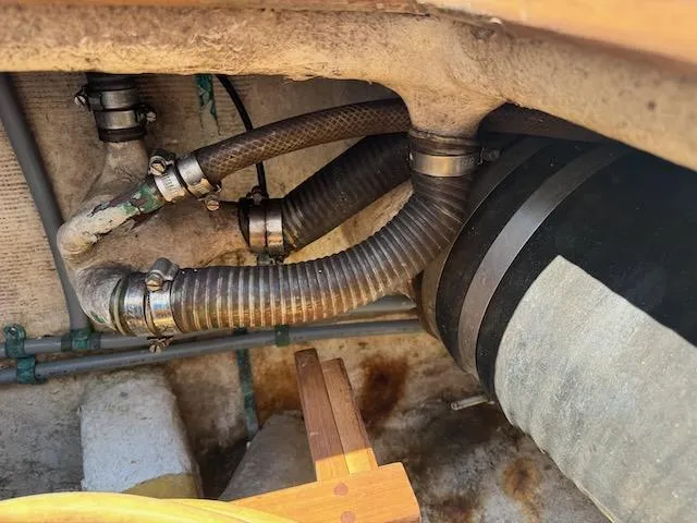 Encore Yacht Photos Pics 