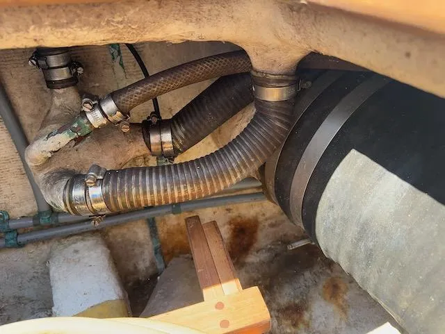 Encore Yacht Photos Pics 