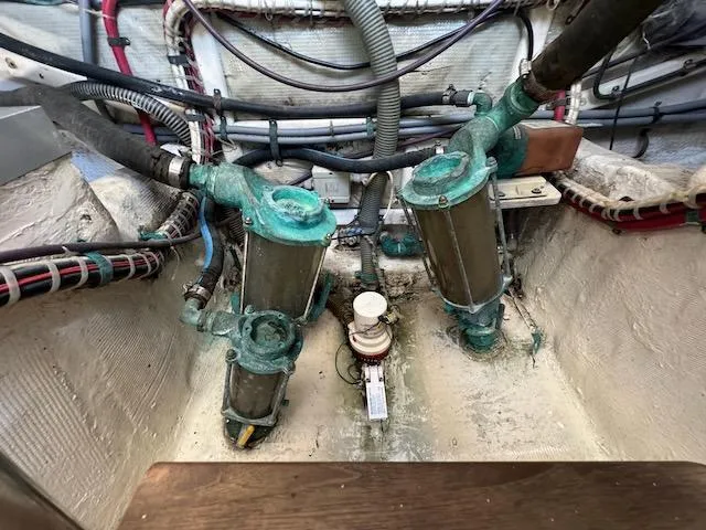 Encore Yacht Photos Pics 