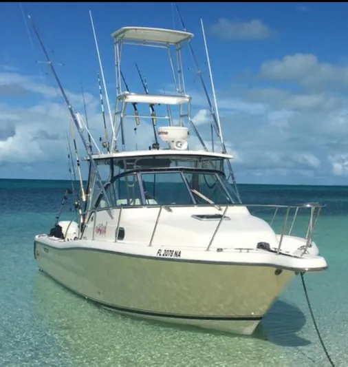 Engines Under Warranty! Yacht Photos Pics 